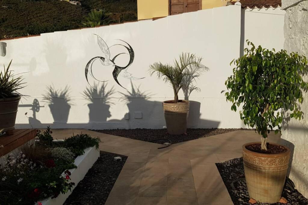 Casa Vina: A Spectacular Away From It All Holiday La Orotava Exterior foto