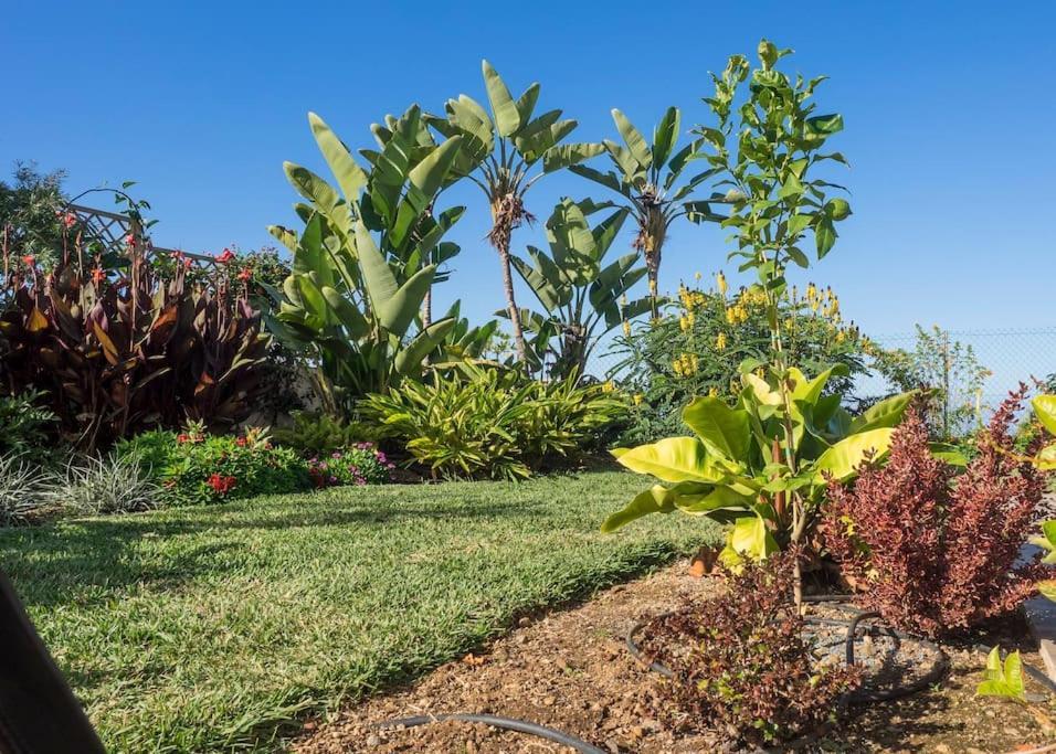 Casa Vina: A Spectacular Away From It All Holiday La Orotava Exterior foto